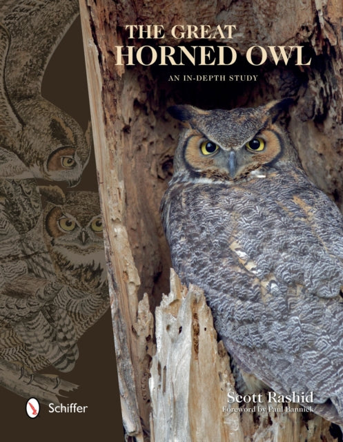 Book cover of: Great Horned Owl. By: Scott Rashid