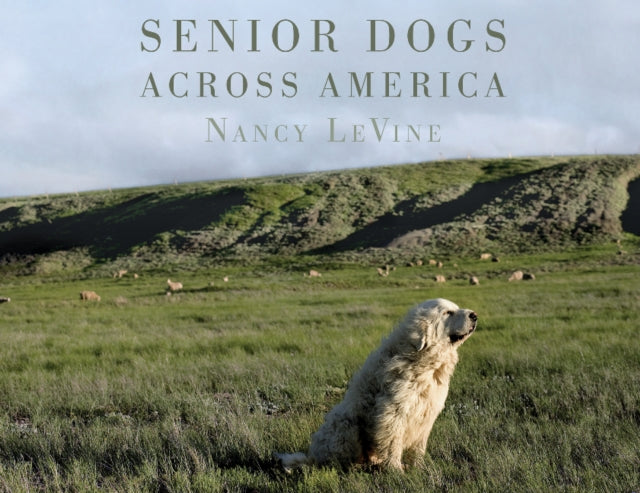 Book cover of: Senior Dogs Across America. By: Nancy LeVine