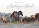 Book cover of: Natural Wonders of Assateague Island. By: Mark Hendricks