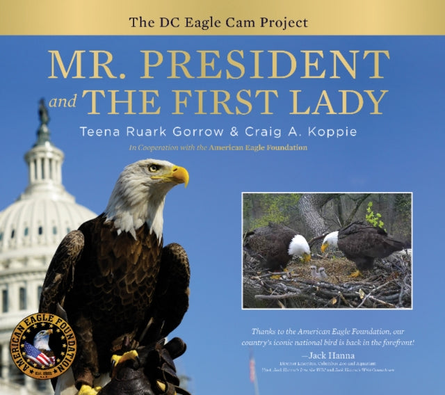 Book cover of: Mr. President and The First Lady. By: Teena Ruark Gorrow