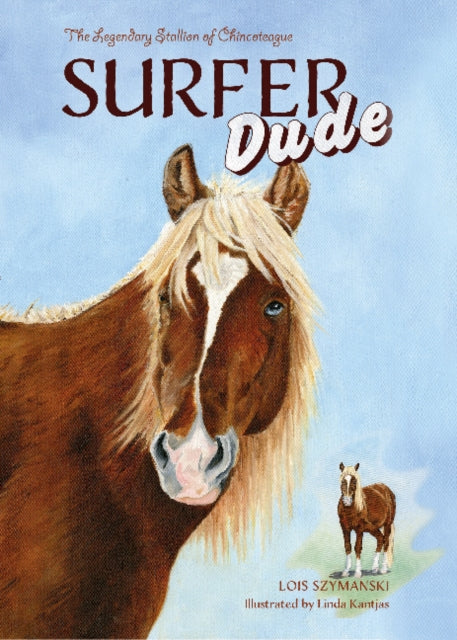 Book cover of: Surfer Dude. By: Lois Szymanski