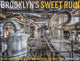 Book cover of: Brooklyn's Sweet Ruin. By: Paul Raphaelson