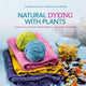 Book cover of: Natural Dyeing with Plants. By: Franziska Ebner