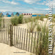 Book cover of: Jersey Shore. By: Antelo Devereux