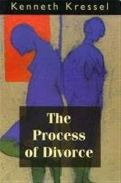 Book cover of: Process of Divorce