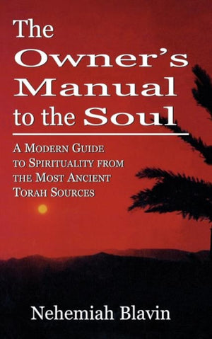 Owner's Manual to the Soul
