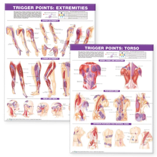 Book cover of: Trigger Point Chart Set: Torso & Extremities Paper