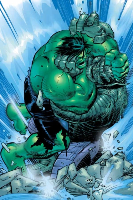 Book cover of: Incredible Hulk: Past Perfect. By: Paul Jenkins
