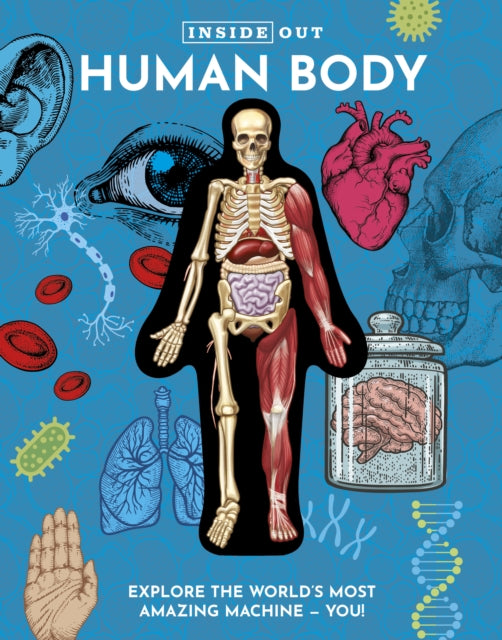 Book cover of: Inside Out Human Body. By: Luann Columbo