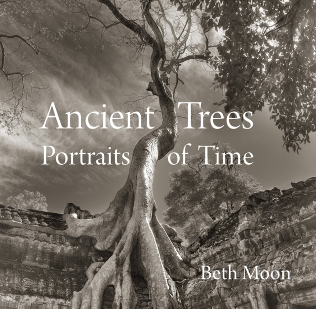 Book cover of: Ancient Trees. By: Beth Moon