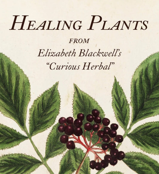 Book cover of: Healing Plants. By: Editors of Abbeville Editors of Abbeville Press