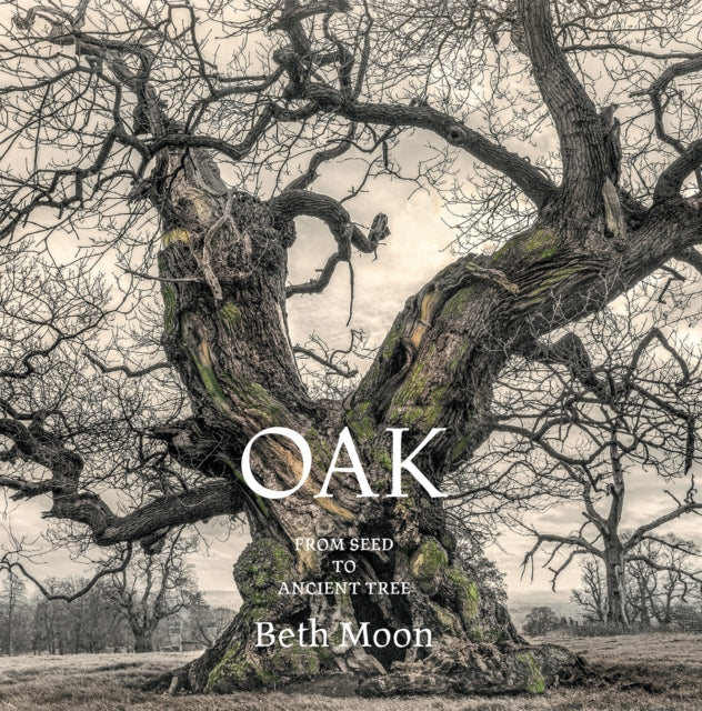 Oak
