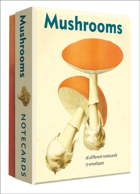 Book cover of: Mushrooms. By: Editors of Abbeville Press