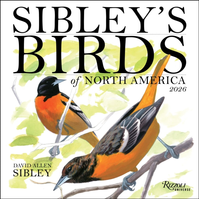 Book cover of: Sibley's Birds of North America 2026 Wall Calendar