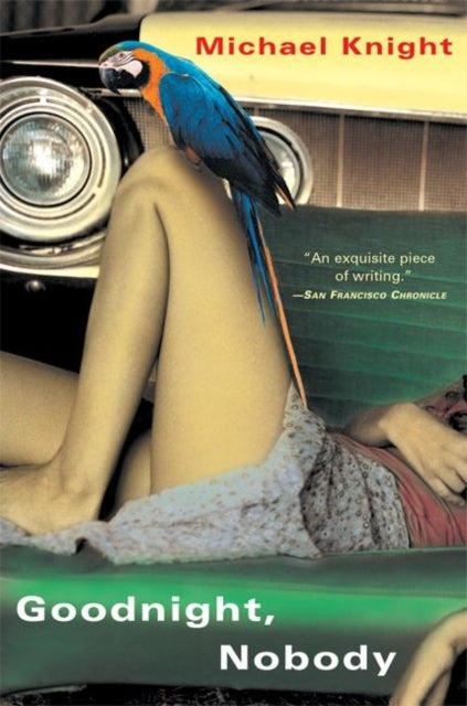 Book cover of: Goodnight, Nobody. By: Michael Knight