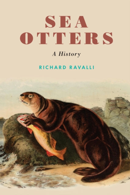 Book cover of: Sea Otters. By: Richard Ravalli
