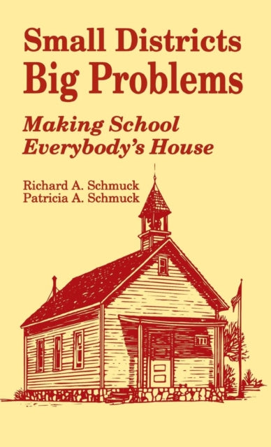 Book cover of: Small Districts, Big Problems