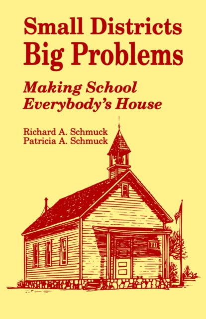 Book cover of: Small Districts, Big Problems