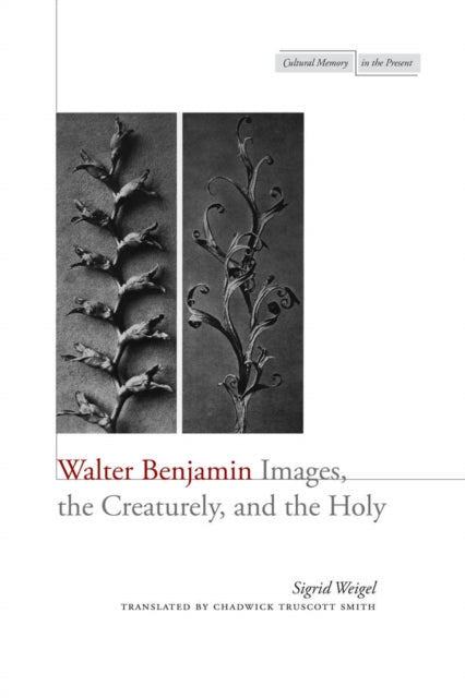 Book cover of: Walter Benjamin. By: Sigrid Weigel