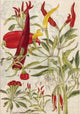 Book cover of: Chili Peppers & Shiso Leaves Blank Hardcover Journal. By: Tuttle Tuttle Studio