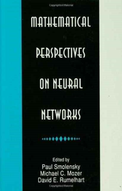 Mathematical Perspectives on Neural Networks