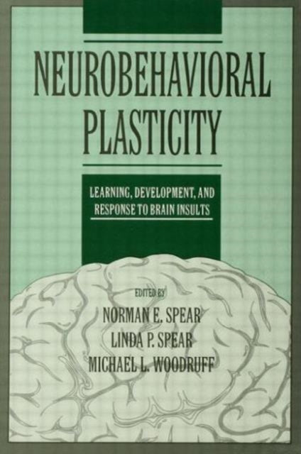 Book cover of: Neurobehavioral Plasticity