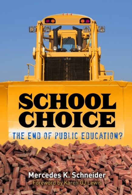 Book cover of: School Choice. By: Mercedes K. Schneider