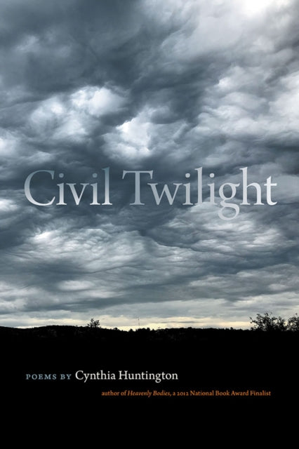Book cover of: Civil Twilight