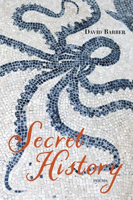 Book cover of: Secret History. By: David Barber