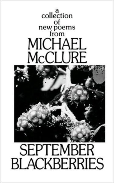 Book cover of: SEPTEMBER BLACKBERRIES PA