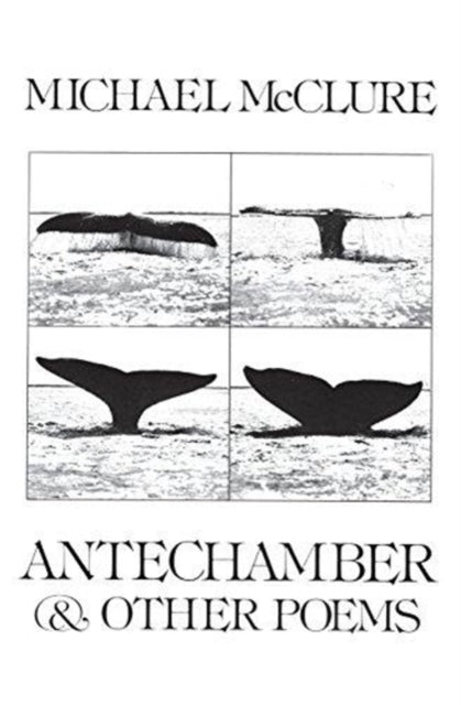Book cover of: Antechamber and Other Poems
