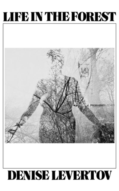 Book cover of: Life In the Forest