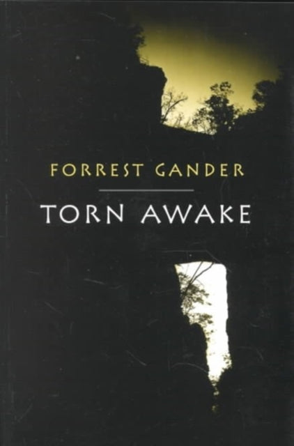 Book cover of: Torn Awake