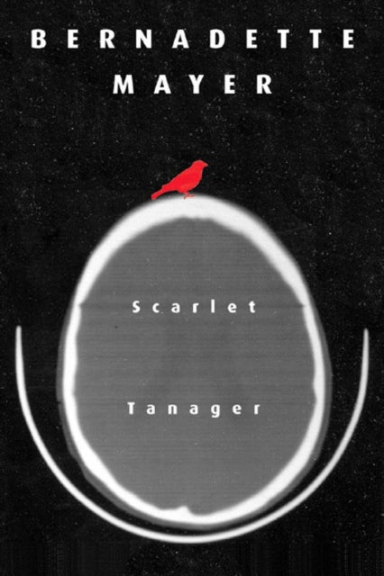 Book cover of: Scarlett Tanager. By: Bernadette Mayer