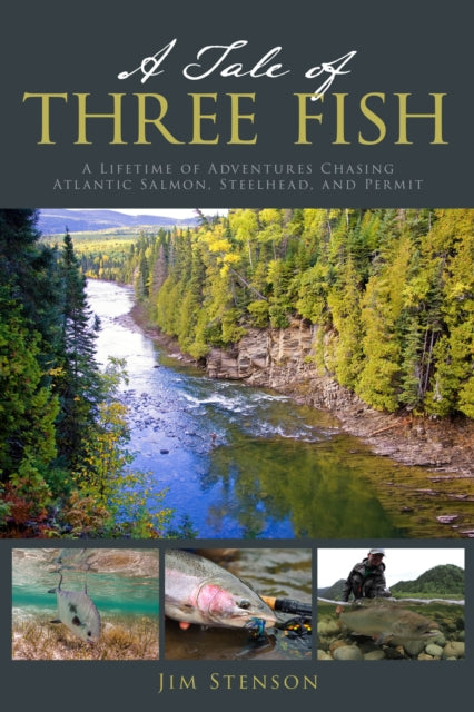 Book cover of: Tale of Three Fish. By: Jim Stenson