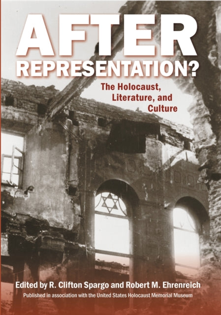 Book cover of: After Representation?