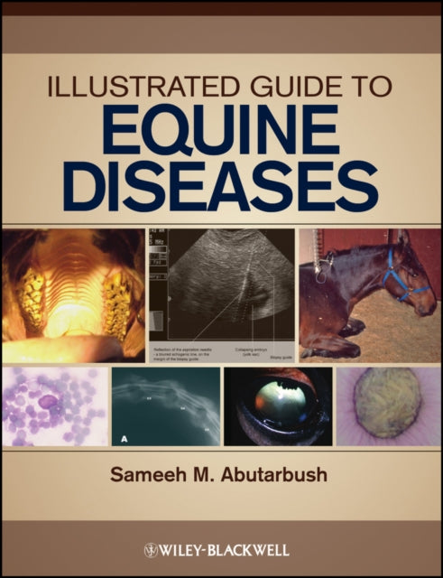 Book cover of: Illustrated Guide to Equine Diseases