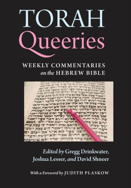 Book cover of: Torah Queeries