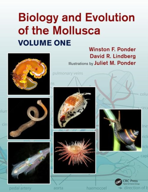 Book cover of: Biology and Evolution of the Mollusca, Volume 1. By: Winston Frank Ponder