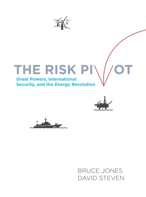 Book cover of: Risk Pivot
