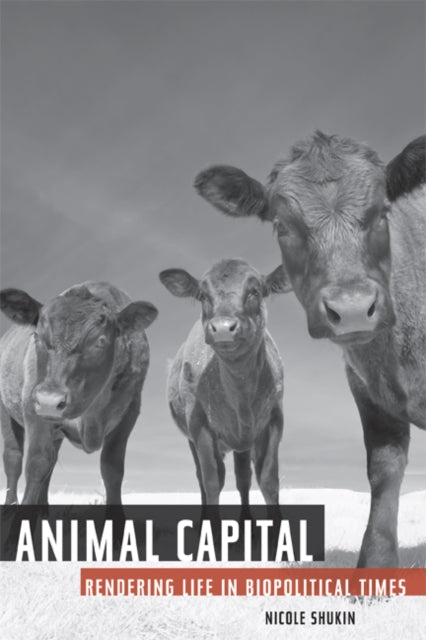 Book cover of: Animal Capital. By: Nicole Shukin