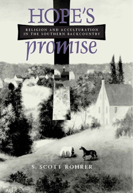 Book cover of: Hope's Promise. By: S. Scott Rohrer