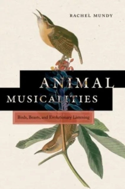 Book cover of: Animal Musicalities. By: Rachel Mundy