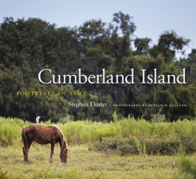 Book cover of: Cumberland Island. By: Stephen Doster