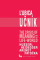 Book cover of: Crisis of Meaning and the Life-World. By: Lubica Ucník