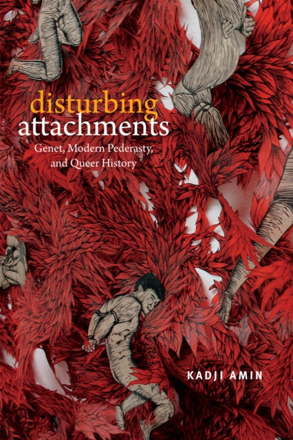 Book cover of: Disturbing Attachments. By: Kadji Amin