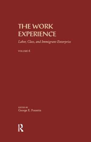 The Work Experience