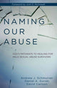 Book cover of: Naming Our Abuse. By: Andrew Schmutzer
