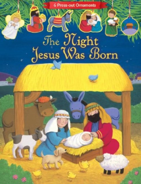 Book cover of: Night Jesus Was Born