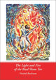 Book cover of: Light and Fire of the Baal Shem Tov. By: Yitzhak Buxbaum